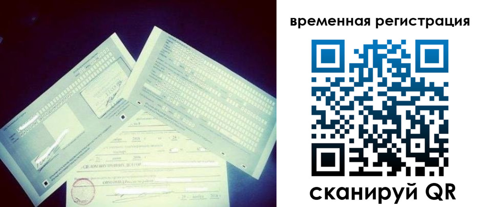 прописка для школы в Каменке